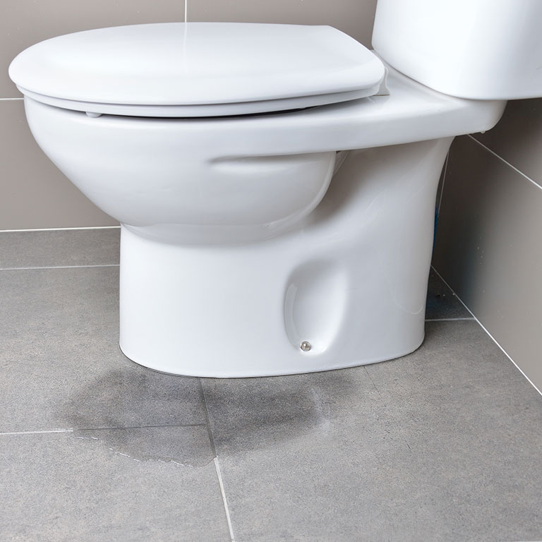 Toilet leak plumbing repairs and maintenance